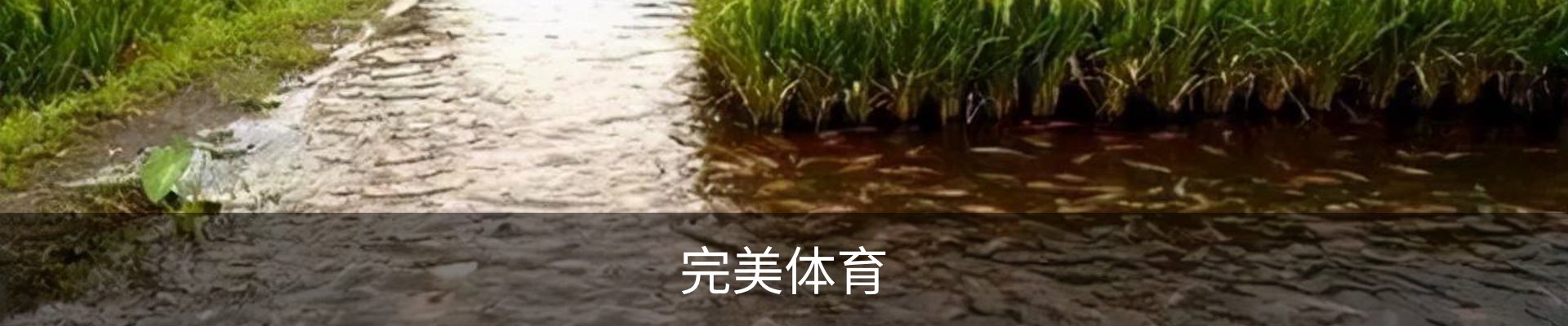完美体育官网 - 完美体育赛事直播与专业数据中心